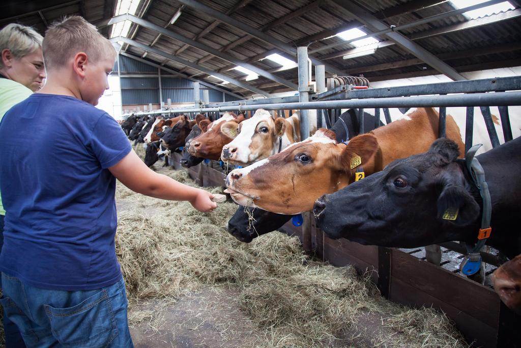Farm Overleekerhoeve Monnickendam Eksteriør bilde