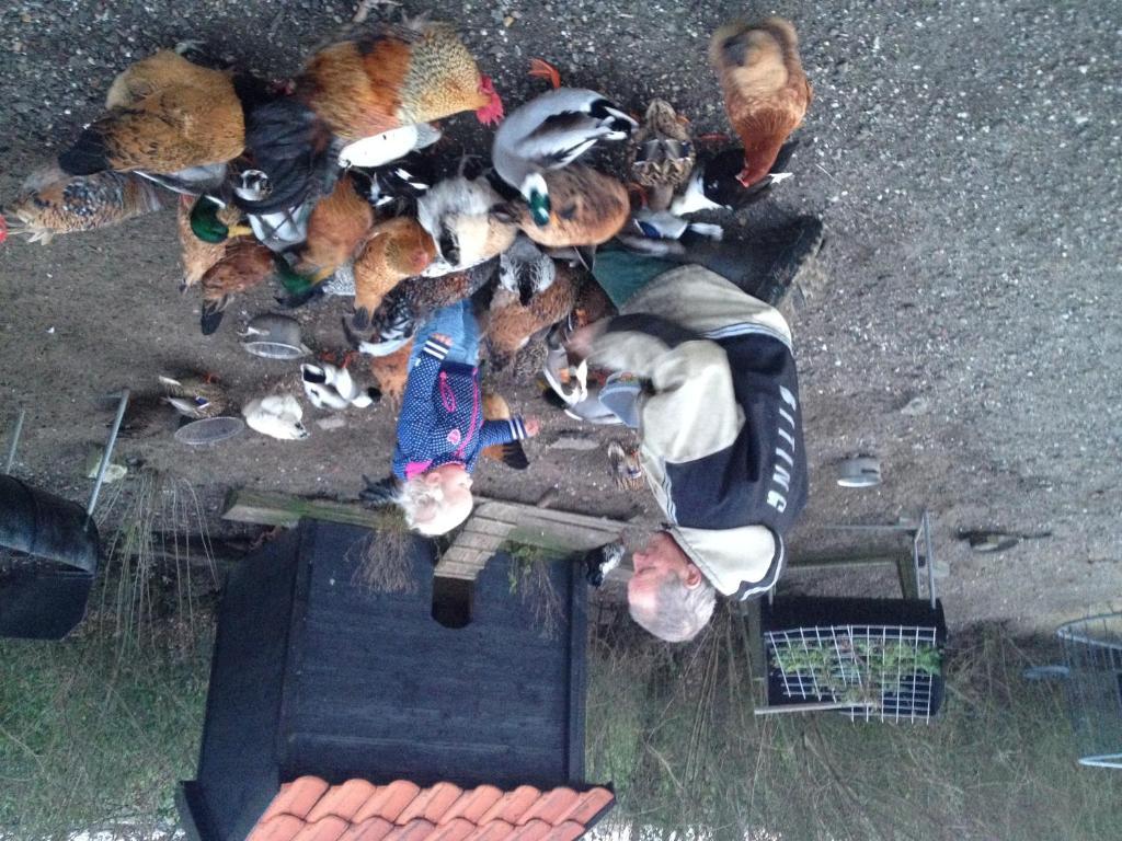 Farm Overleekerhoeve Monnickendam Eksteriør bilde